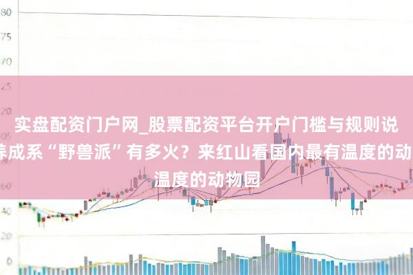 实盘配资门户网_股票配资平台开户门槛与规则说明 养成系“野兽派”有多火？来红山看国内最有温度的动物园
